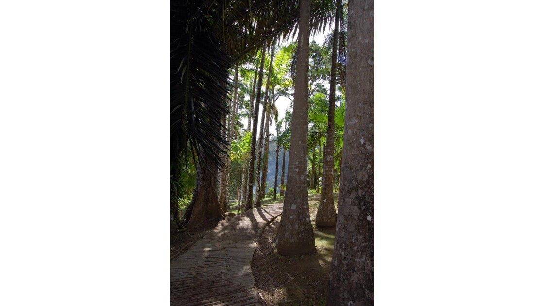 Jardin tropical de Balata