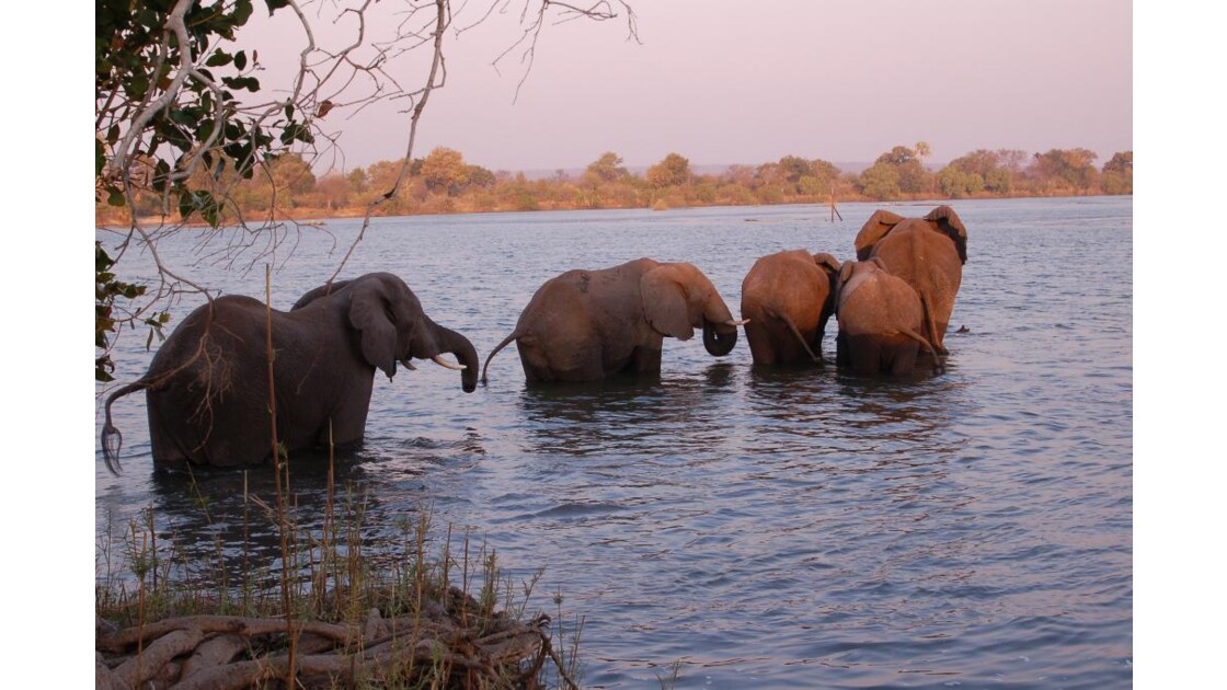 Bain au Zambèze