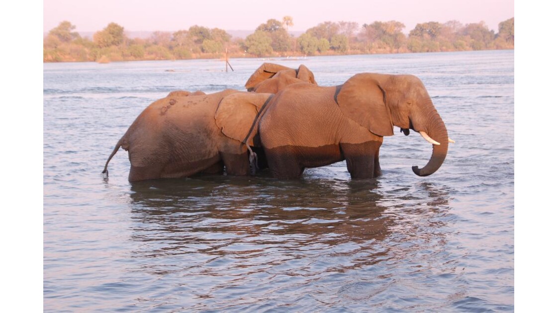 Bain au Zambèze
