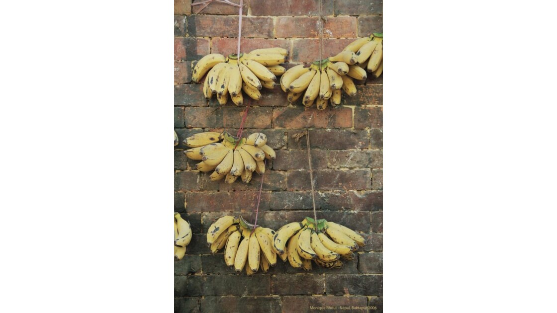 Népal, Baktapur - Petites bananes