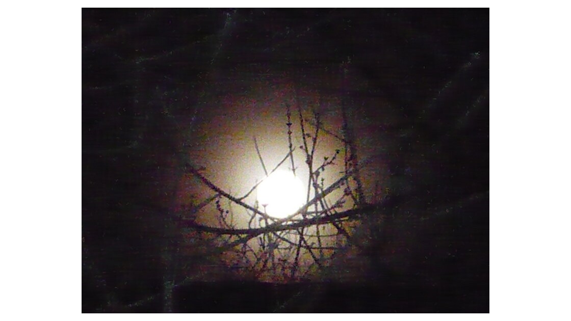 clair de lune