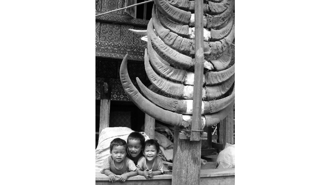 Enfants Toraja
