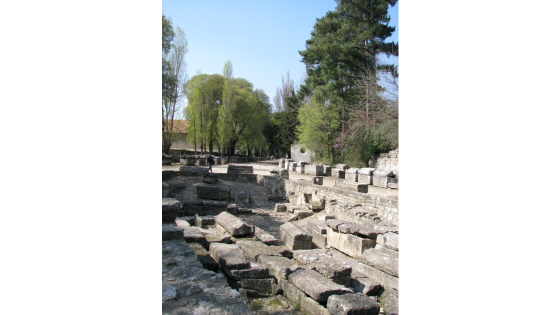 Arles: les Alyscamps: sarcophages