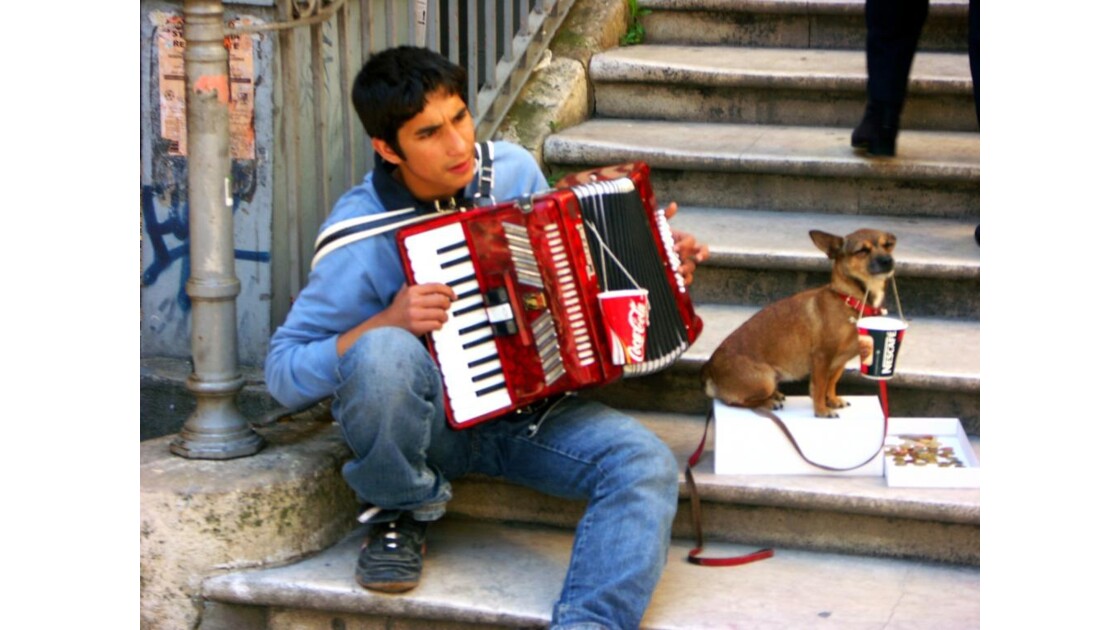 Lisbonne Acordéon et chien.jpg