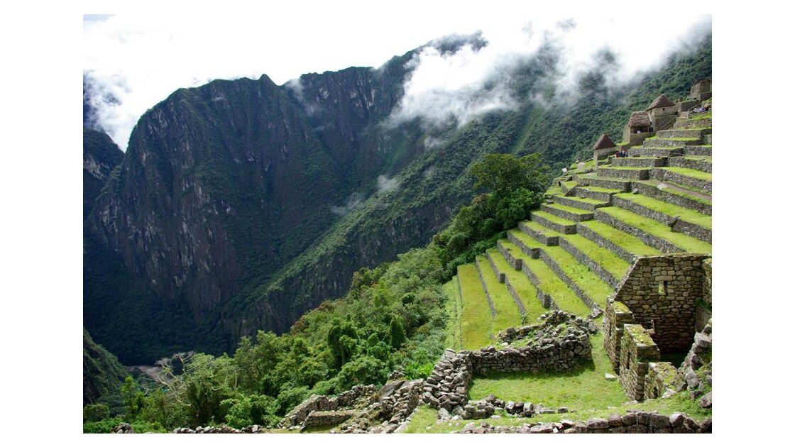 Terrasses de cultures des Incas à MP