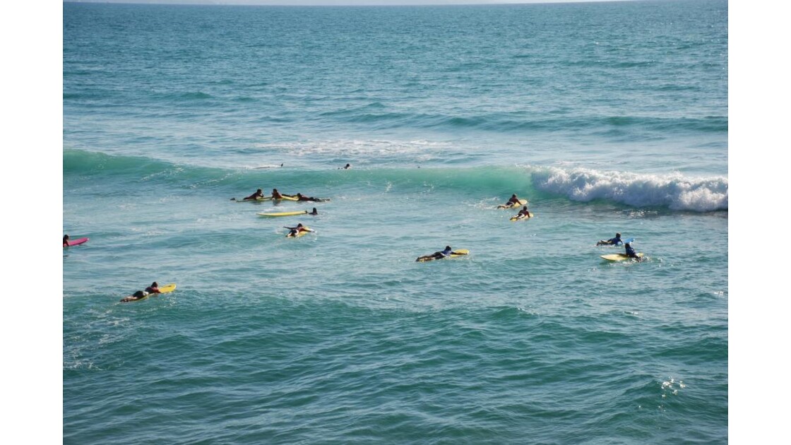 surfeurs (côte des basques)
