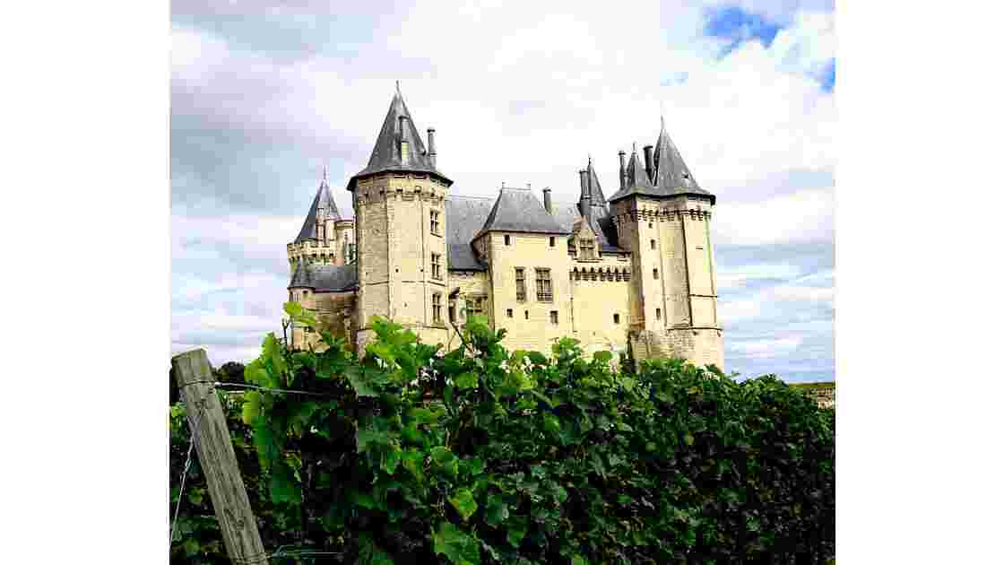 Saumur : château dans les vignes