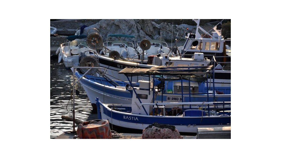 Cap Corse - Port de Centuri