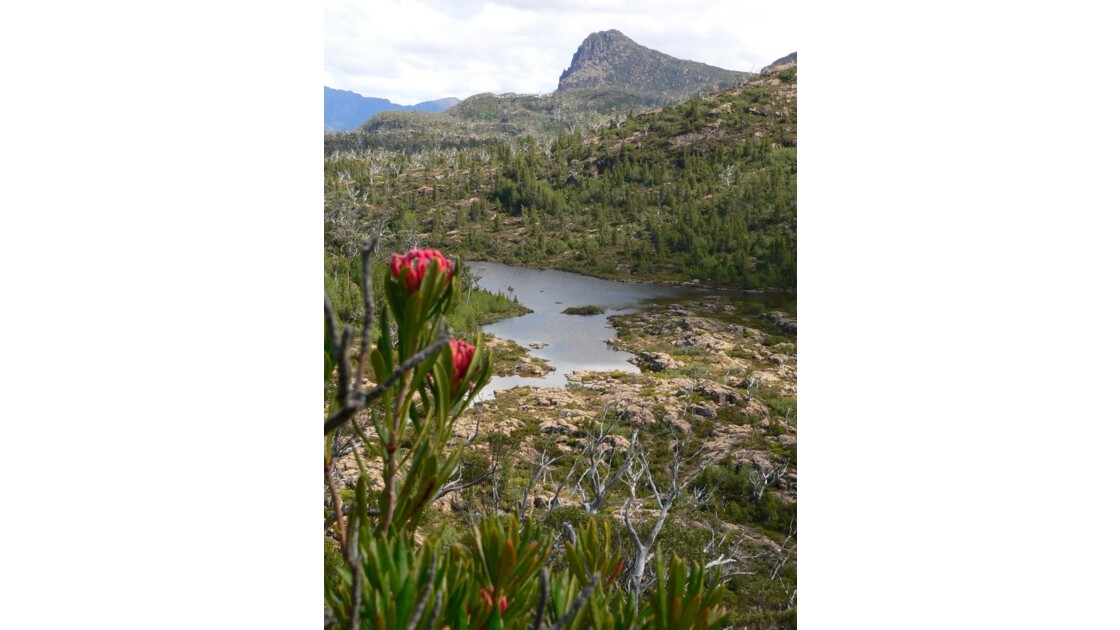 Tasmania, Overlandtrack-australie 78