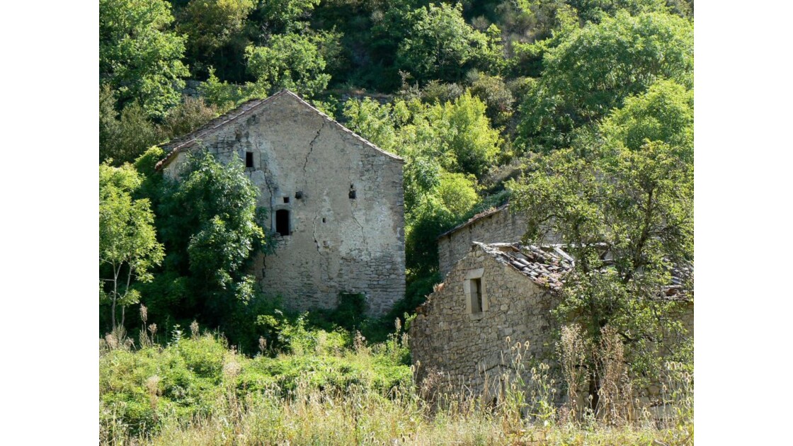 Ruines -Larzac - France