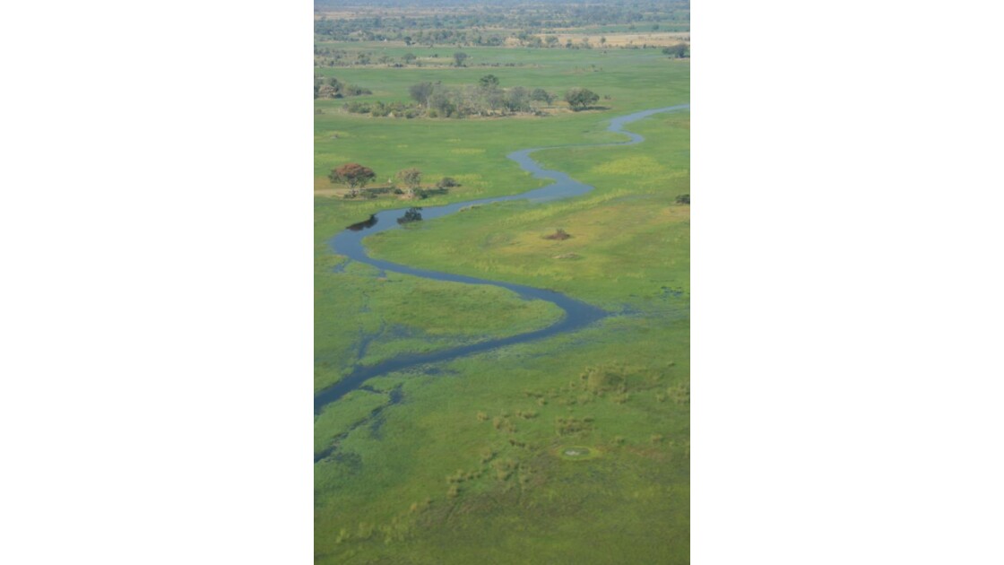 Delta de l'okavango