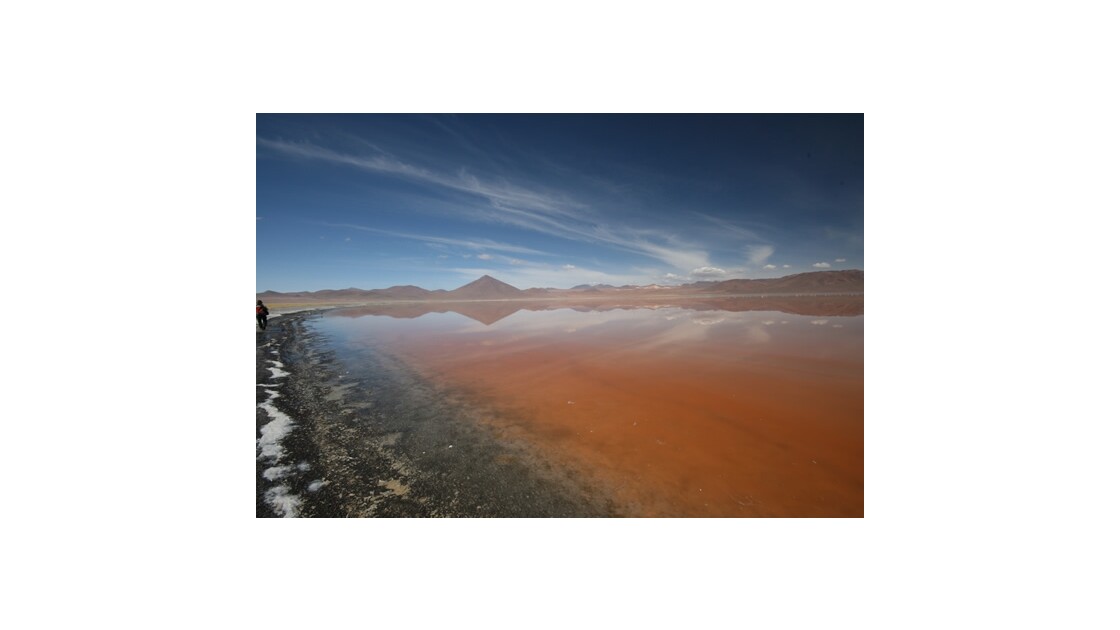 Laguna Colorada, 4300m, Bolivie