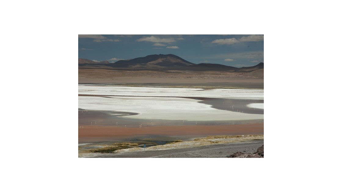Laguna Colorada, 4300m, Bolivie