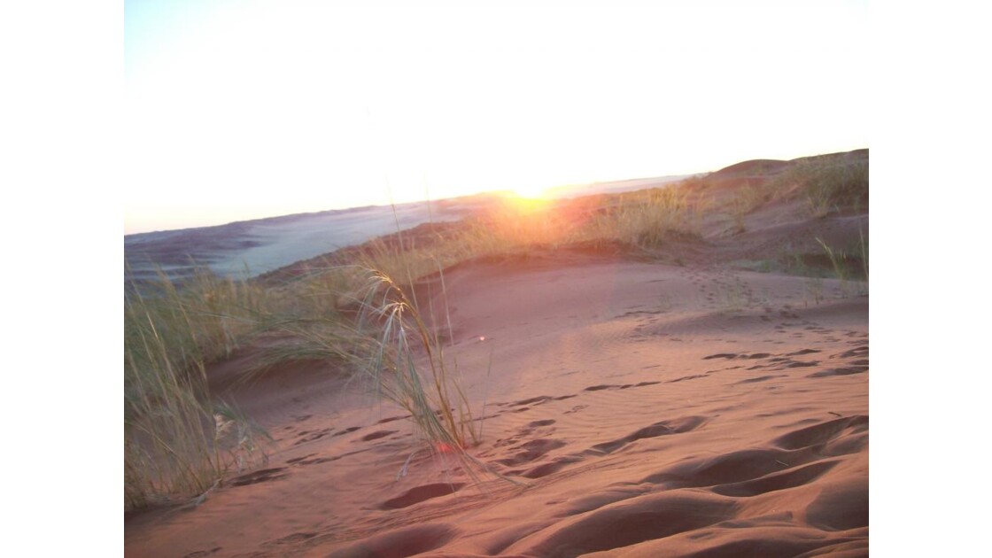 dune près de Sossusvlei.jpg