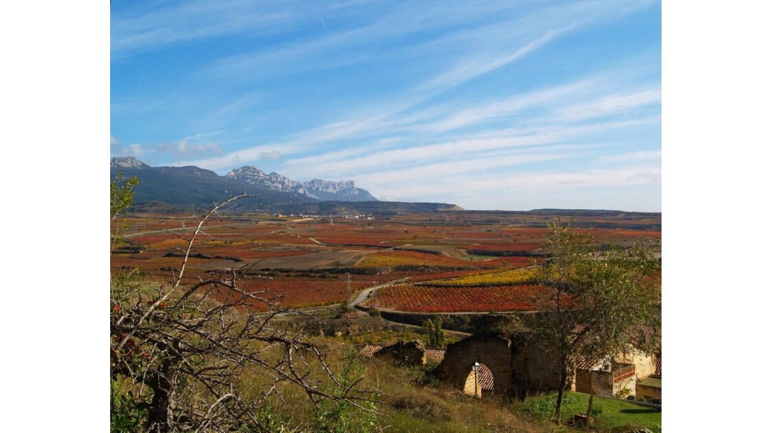 La vallée du Rioja
