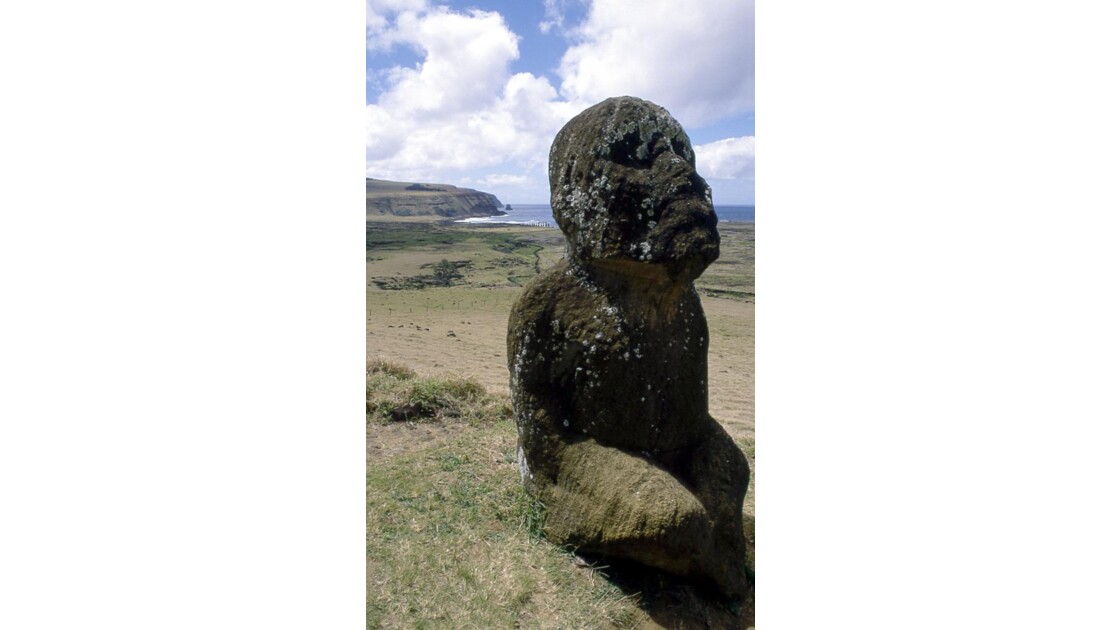 moai Tuturi