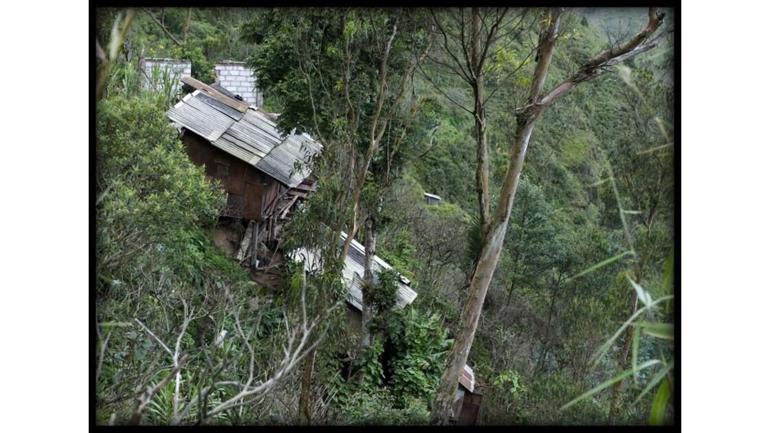 Maison amazonienne