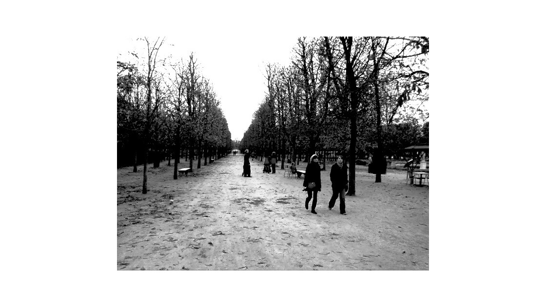 Jardin des Tuileries, janvier 2009