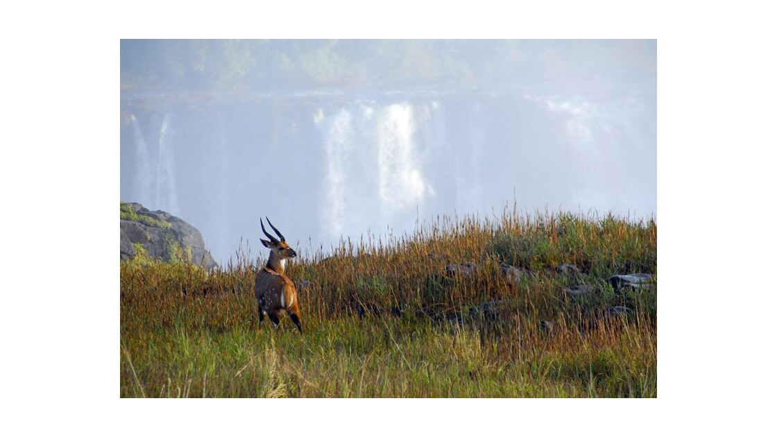 Botswana, Victoria, Victoria Falls