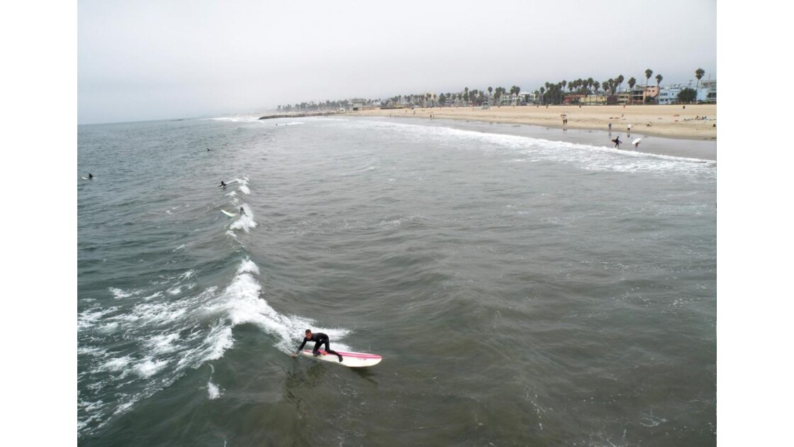 Surfeur, Venice Beach, L.A