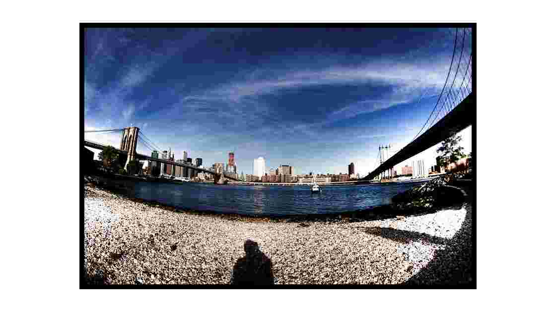 Manhattan et Brooklyn Bridge