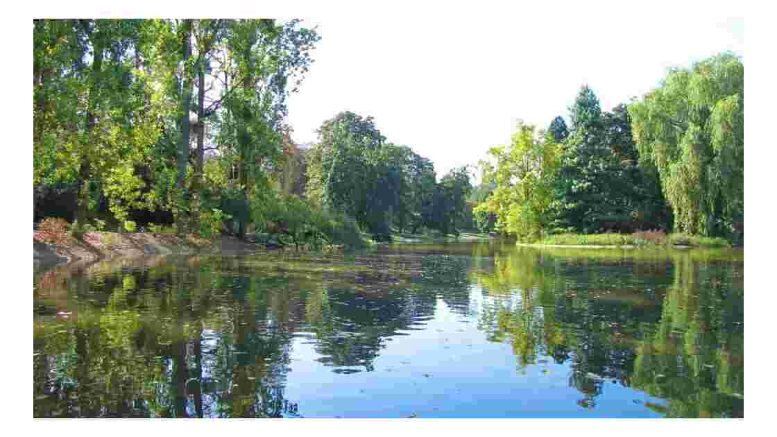 Le lac au Bois de Vincennes