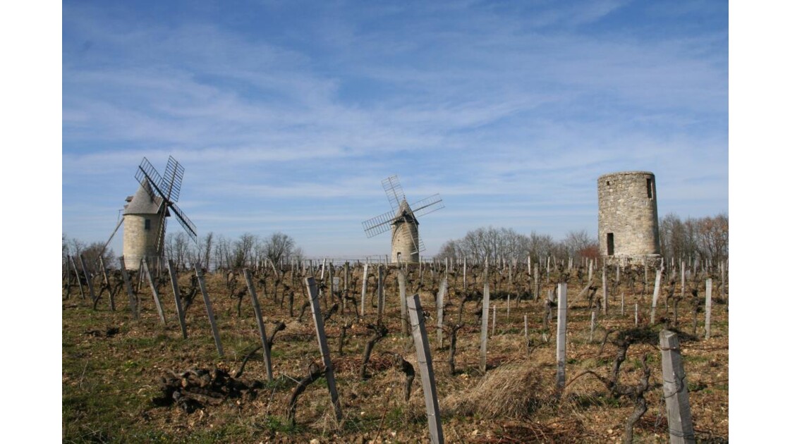 Saint_Emilion vignes & moulins.JPG