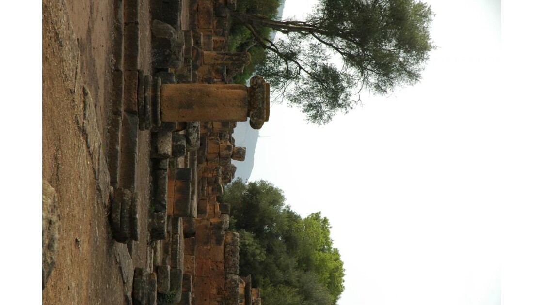 ruines romaines de Tipaza, près d'Alger