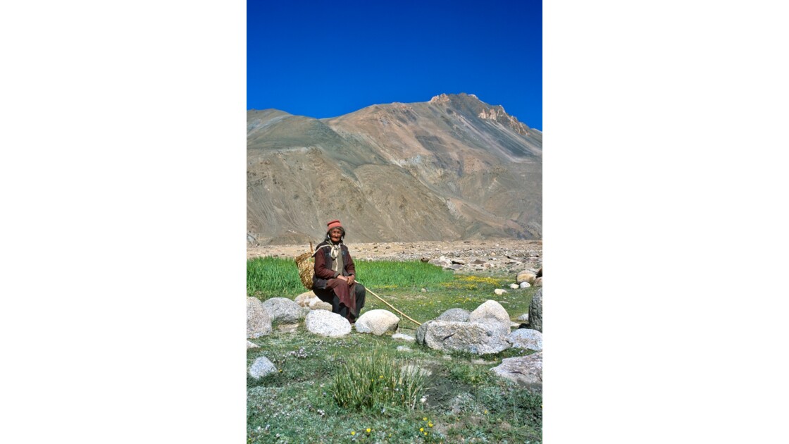 Paysanne Ladakhi