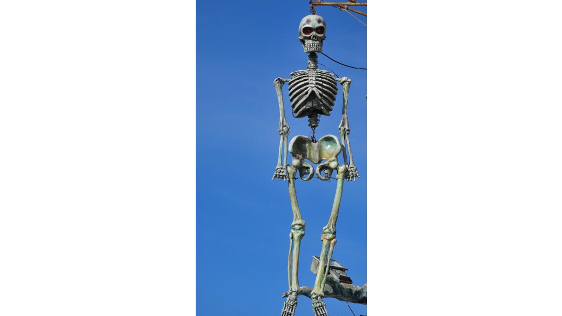 Squelette.!!
