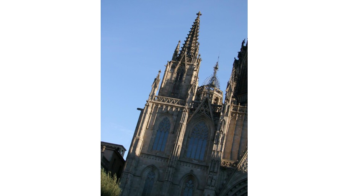 BARCELONE El Gotic cathédrale 