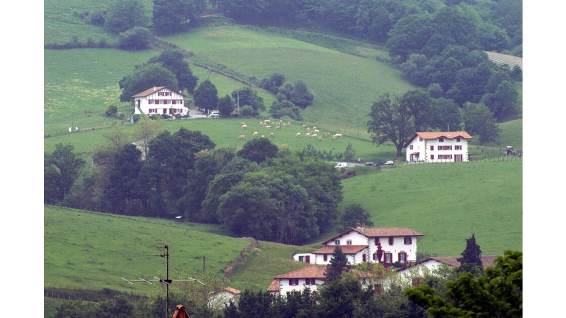 Maisons sur la colline