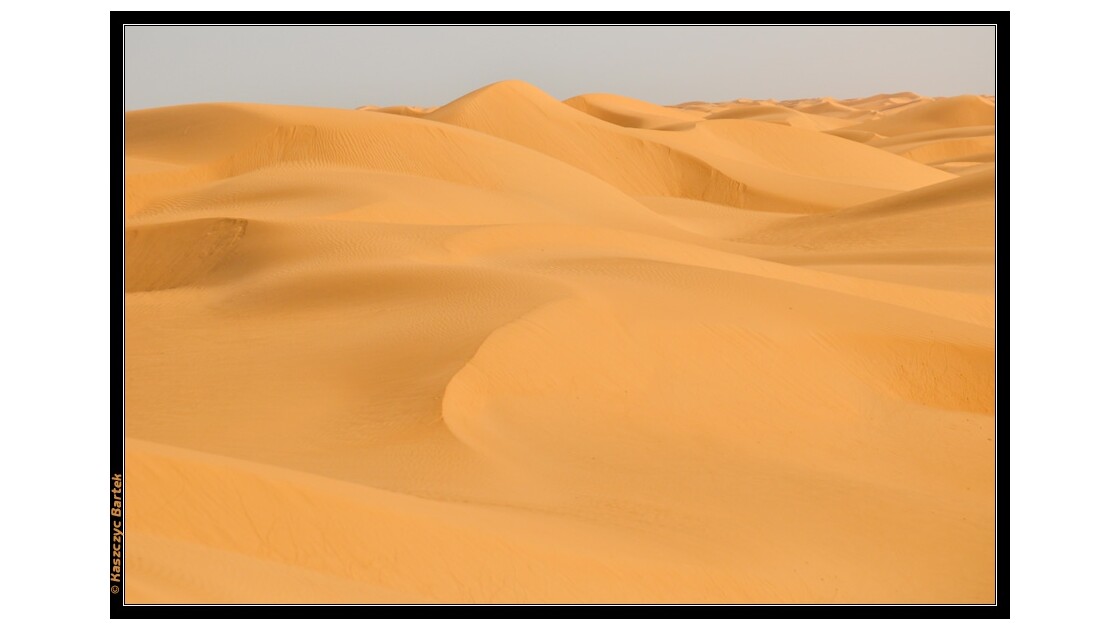 Desert_2.jpg