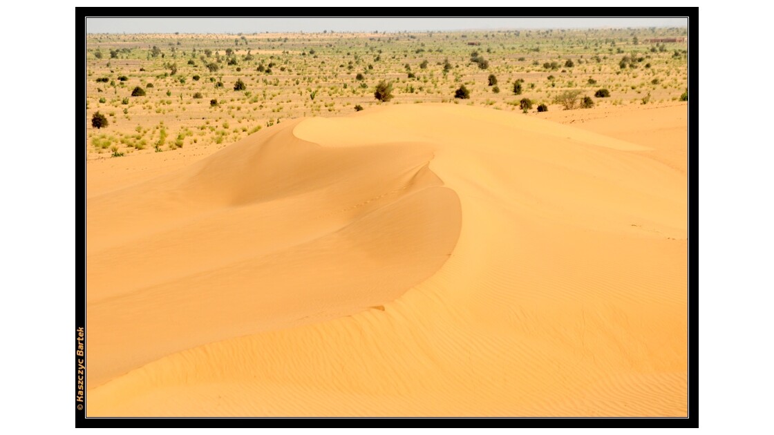 Desert_3.jpg