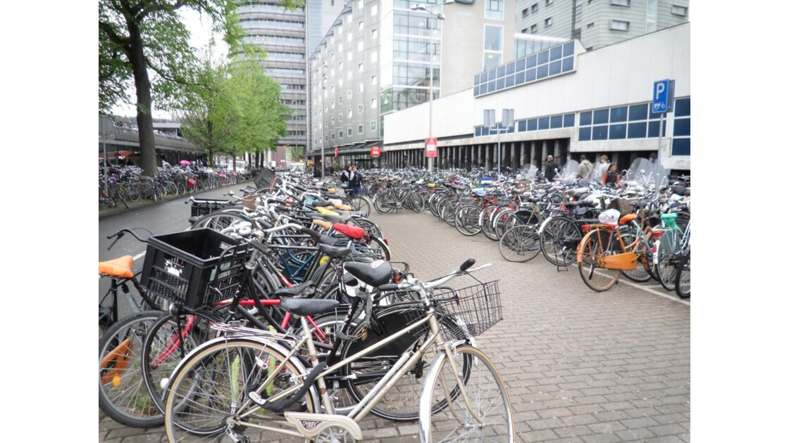 vélos parking
