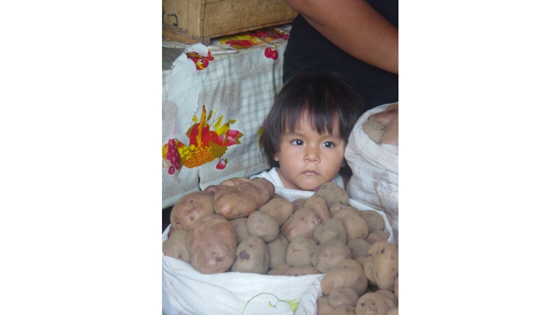 enfant derriere les patates