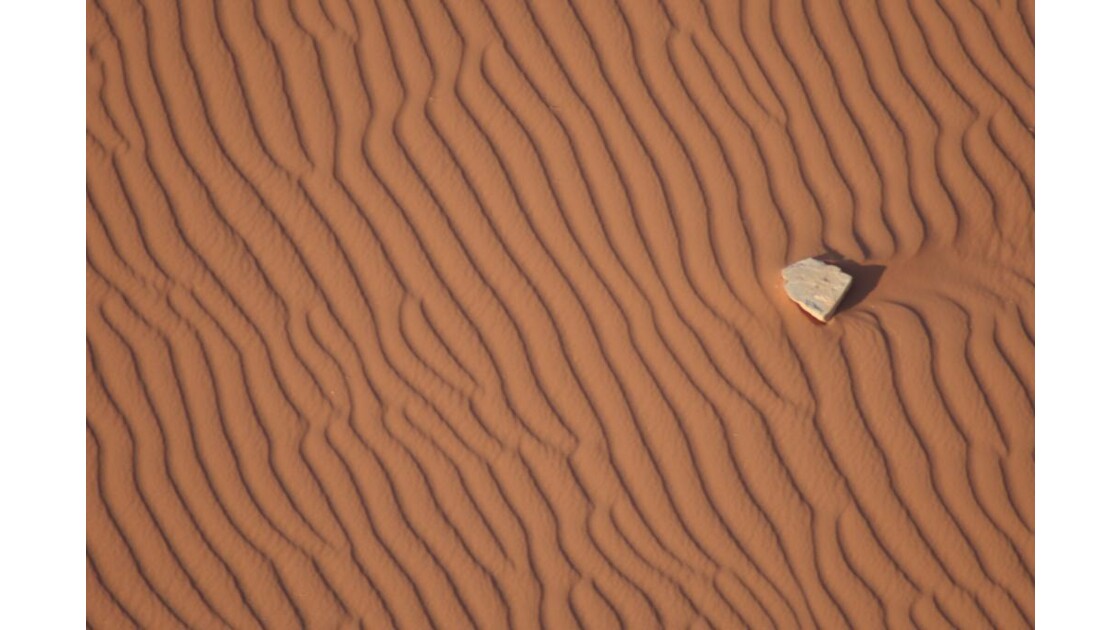 Un caillou dans le sable