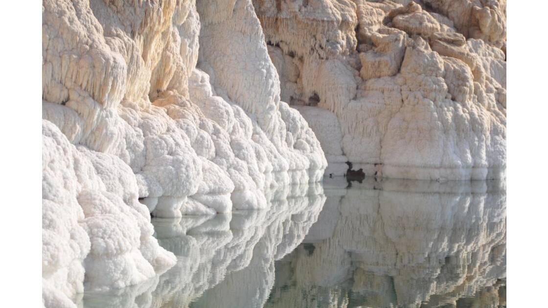 Rive de la mer morte en Jordanie