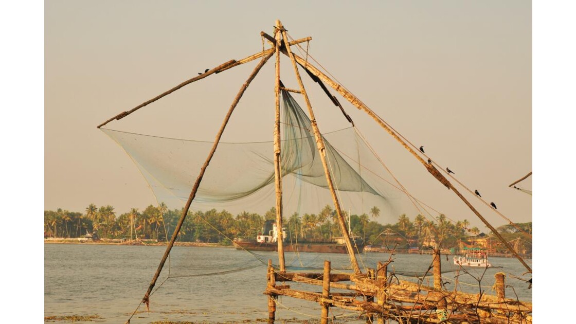 filets de pêche chinois de Cochin 2