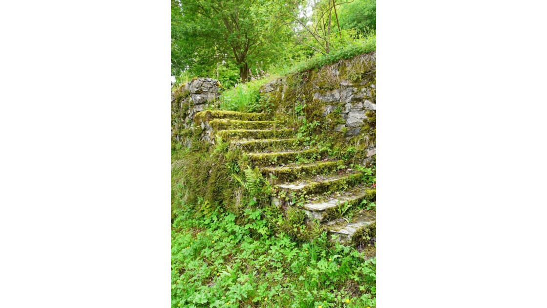 vieil escalier de pierre