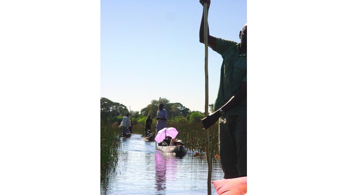 dans le Delta de l'Okavango -6