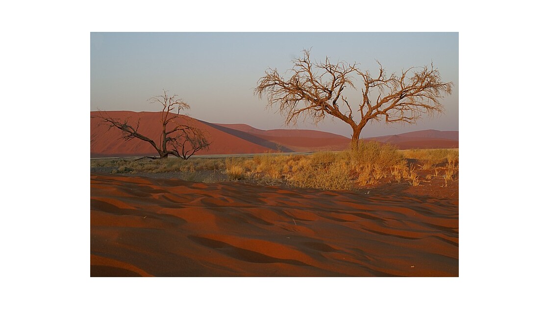 Lever de soleil sur le Namib.jpg