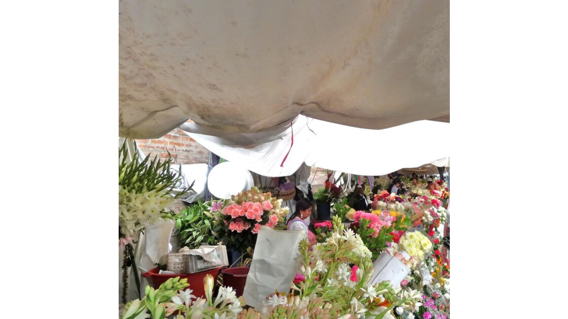 Equateur - CUENCA - Marché aux fleurs