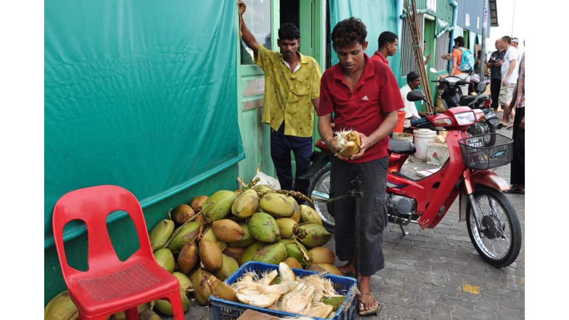 Coupeur de coco, Malé