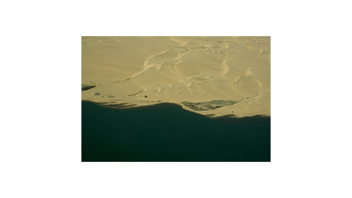 Entre dunes et océan.jpg