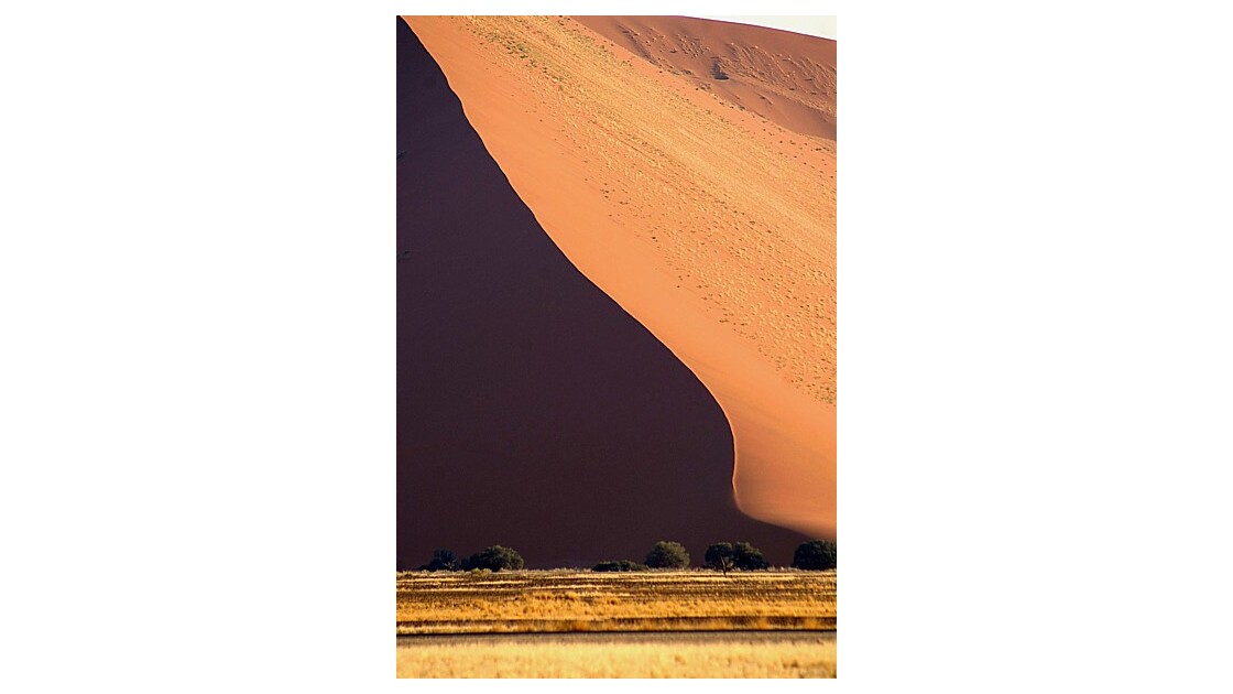 Dune.jpg