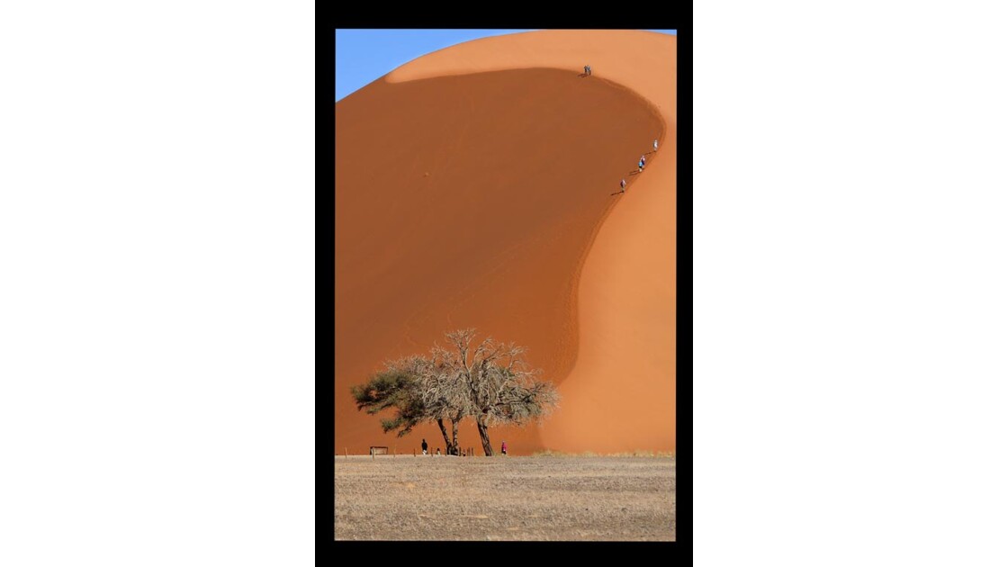 desert du Namib dune 45.jpg