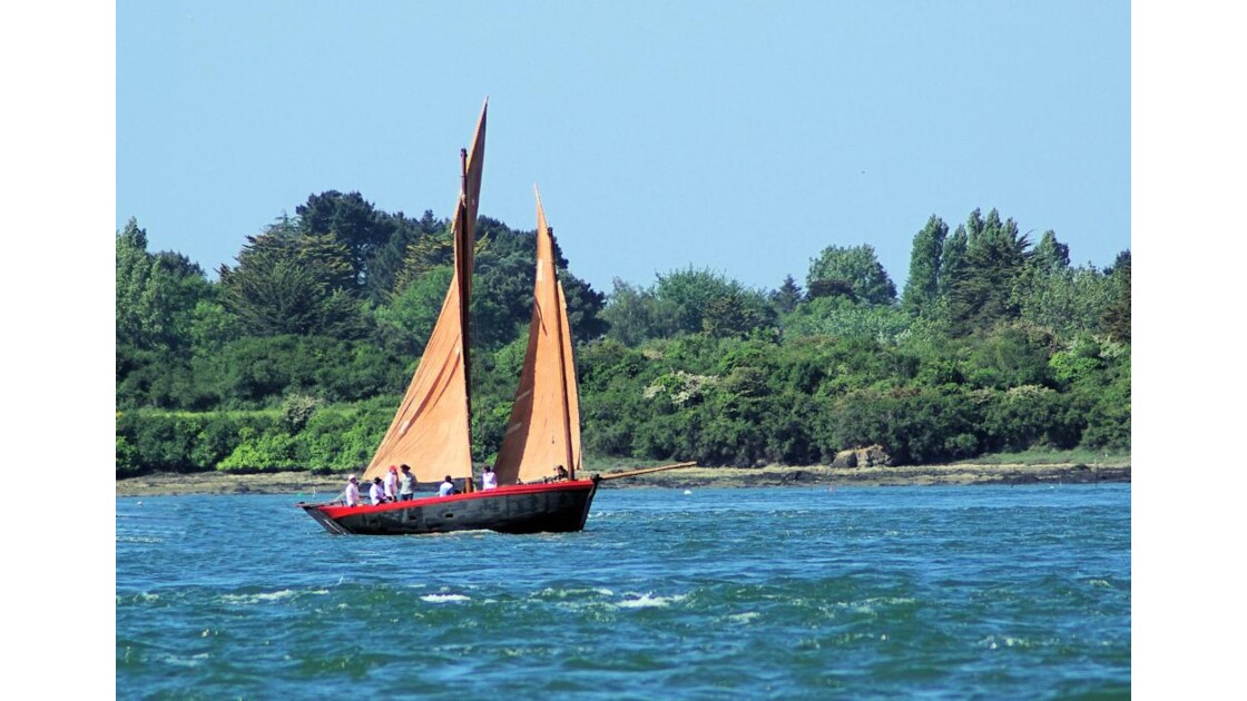  voilier  sur le golfe  du morbihan  jpg Geo fr