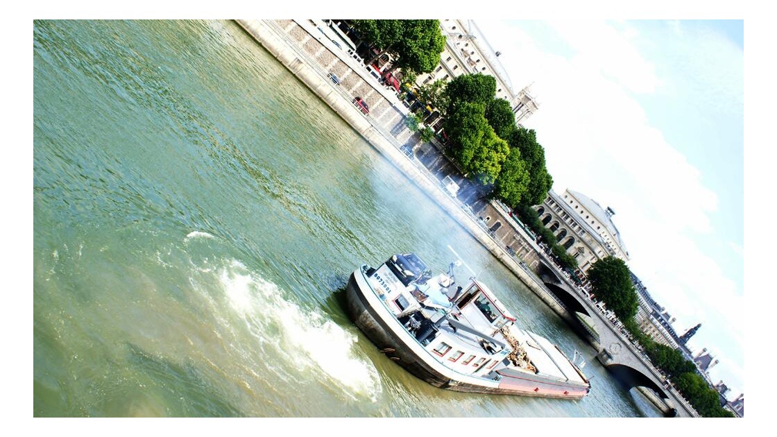 Bord de Seine 