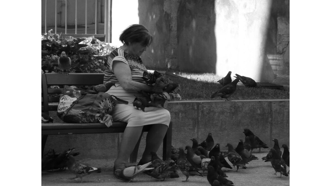 La_dame_aux_pigeons.JPG